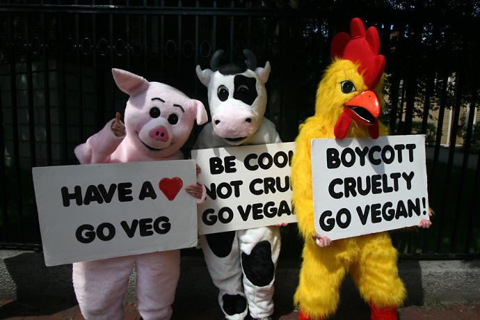 Nedir bu vegan saçmalığı?