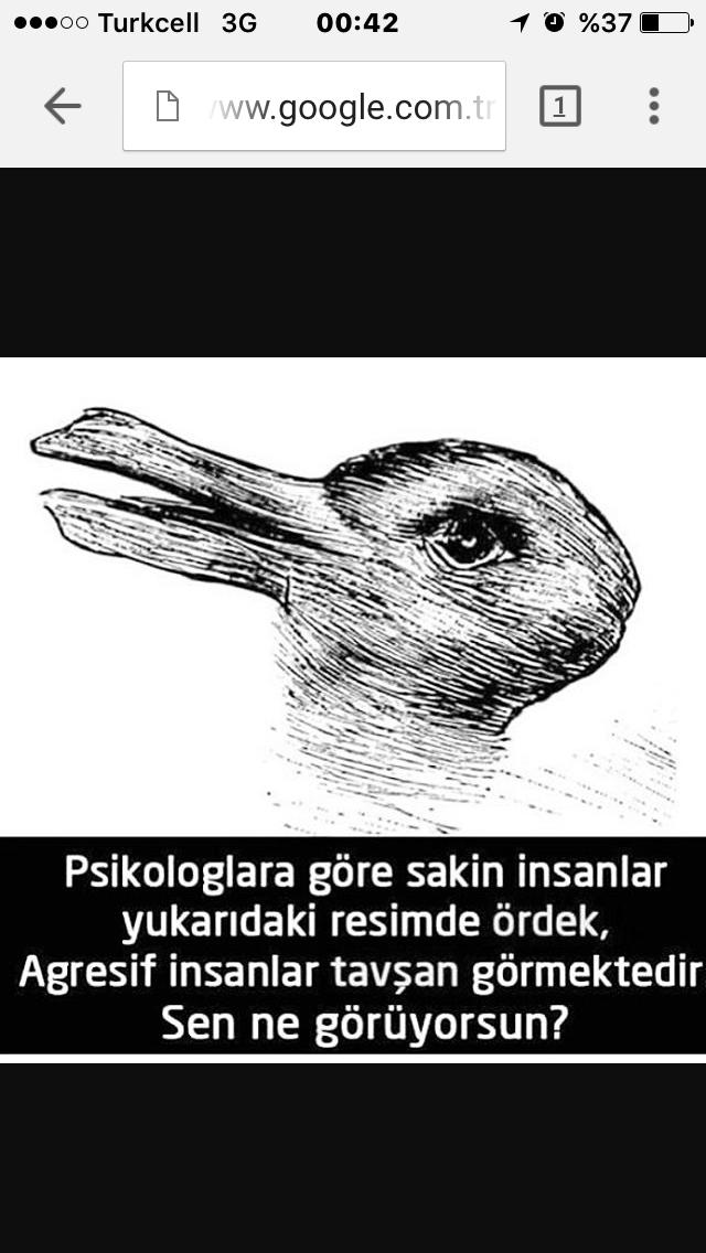 Test.. Sakin misiniz agresif mi ?