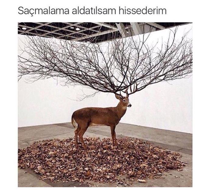 Sevgiliniz veya eşiniz tarafından hiç aldatıldınız mı, bunu nasıl veya ne şekilde öğrendiniz?