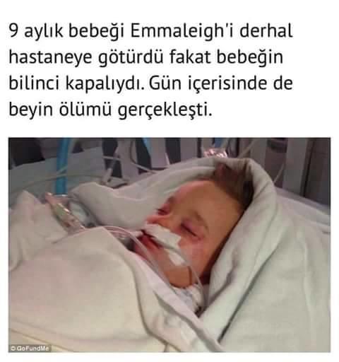 Hayvanları insanlardan daha çok seviyorum ÇÜNKÜ ; ?