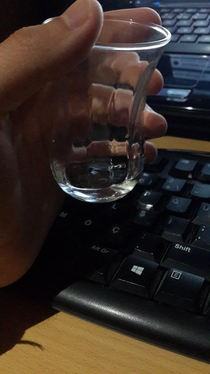 Sek bulgar rakısı içtim. Ölür müyüm?