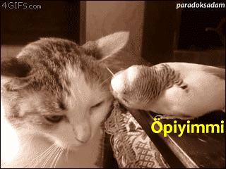 Eşinizin ya da sevgilinizin, sizi başkalarının yanında rencide etmesine tepkiniz ne olur?