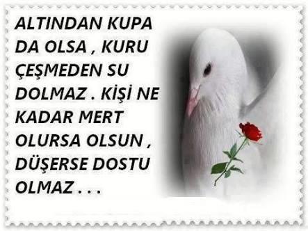 Sizce düşenin dostu olurmu?