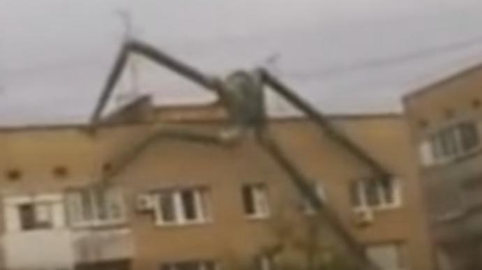 sizce bu ilginç yaratık fotomontaj mı ?