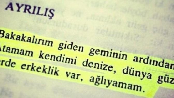 "Serde erkeklik var" dizelerindeki ser ne anlama geliyor?