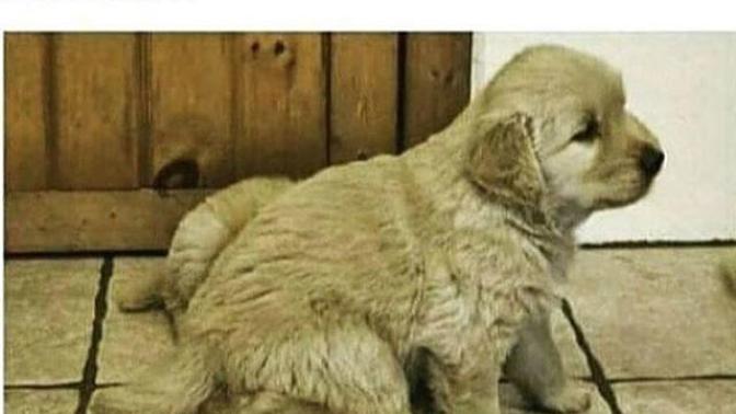 Kıskanılmak hoşunuza gider mi?