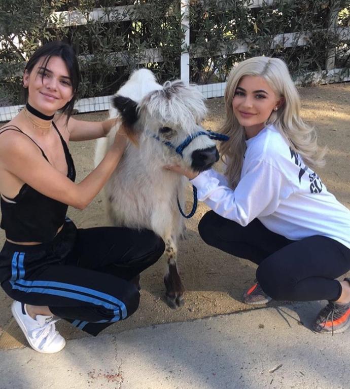Sizce Jenner kardeşlerden hangisi daha güzel? Kendall mı Kylie mi?