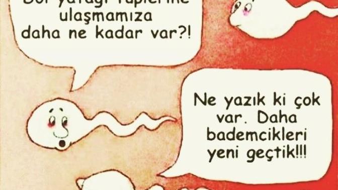 Bu karikatürü anlayamadım, ne demek istemişler ki?