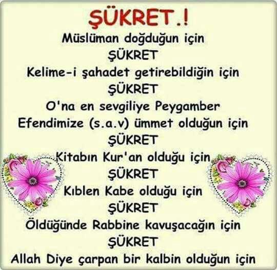 şükret ey insan oğlu?