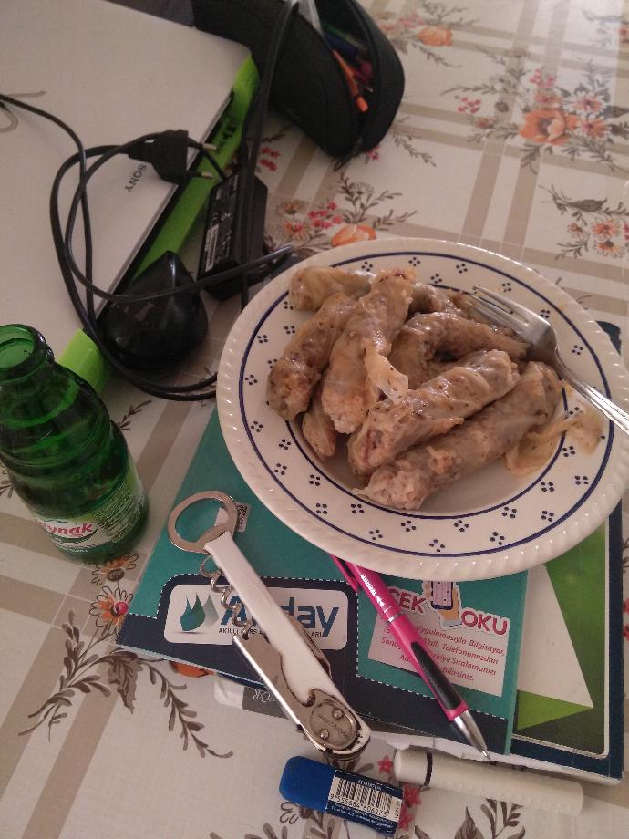 Lahana sarması sever misiniz ben çok severim 😊 ?