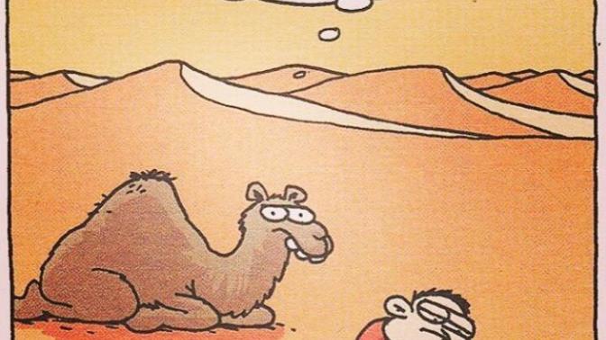 Alıngan insanlar hakkında ne düşünüyorsunuz?