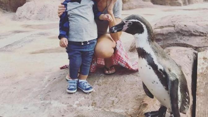 Ece Erken oğlu Eymen'in saçlarını mı boyatıyor? Siz olsanız uyumlu olmanız adına çocuğunuzun saçını boyatır mısınız?