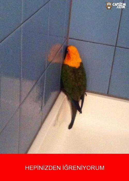 Tanıdığınız herkesle aranız bozuksa, suç sizde midir yoksa onlarda mı?