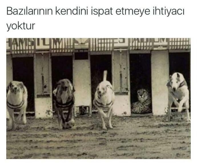Kendinizi kanıtlamaya çalışır mısınız ?