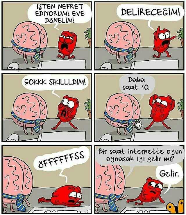 Erken uyanmayı işe gitmeyi seven var mı?