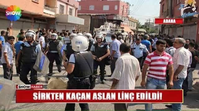 Sirkten kaćan aslan linç edilmiş. Duydunuzmu?