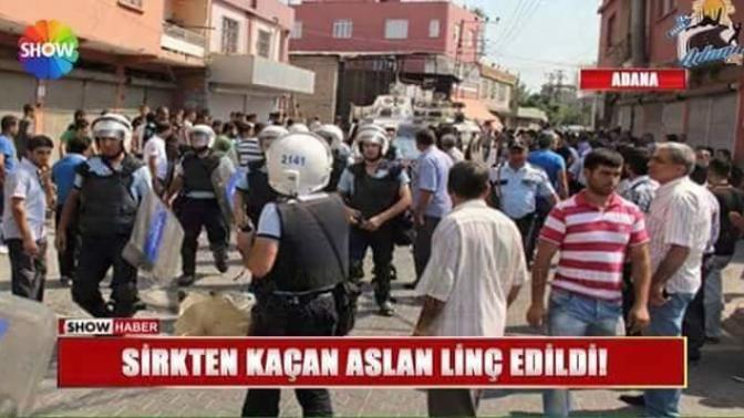 Sirkten kaćan aslan linç edilmiş. Duydunuzmu?