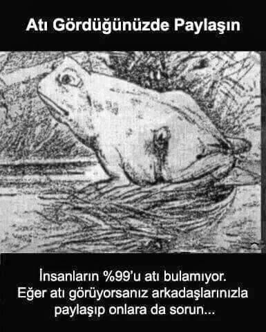 Resimde atı görebiliyor musunuz?
