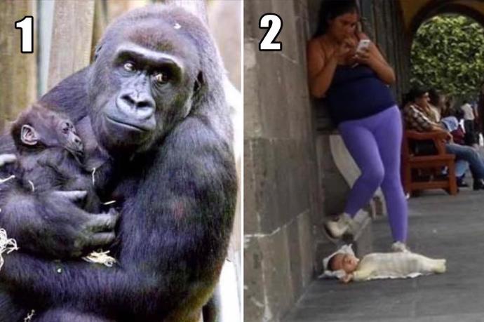 Hangisi Gerçek Anne?