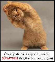 Günaydın canlar bu sabah mucize bekleyenler var mı🌹?