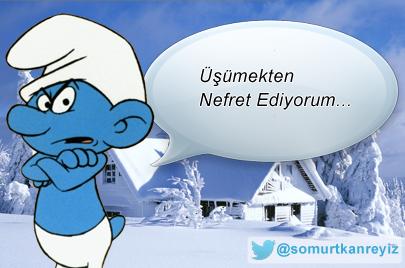 En Sevdiğin Şirin? Favori Şirinin?