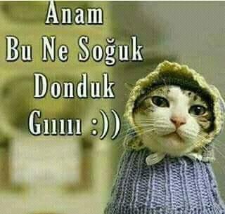 Orda havalar nasıl? Nasıl gidiyo bu havada😊?