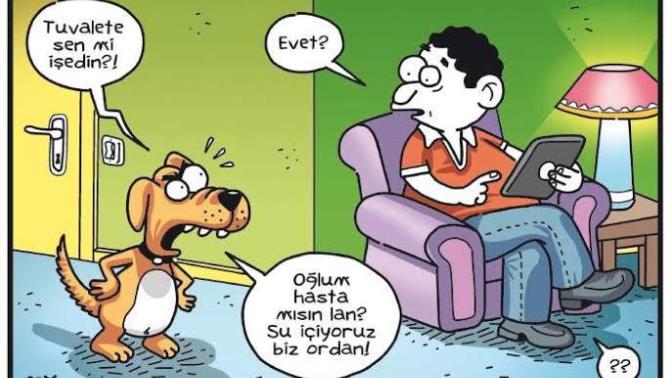 İnsanlar ve hayvanlar arasındaki fark nedir?