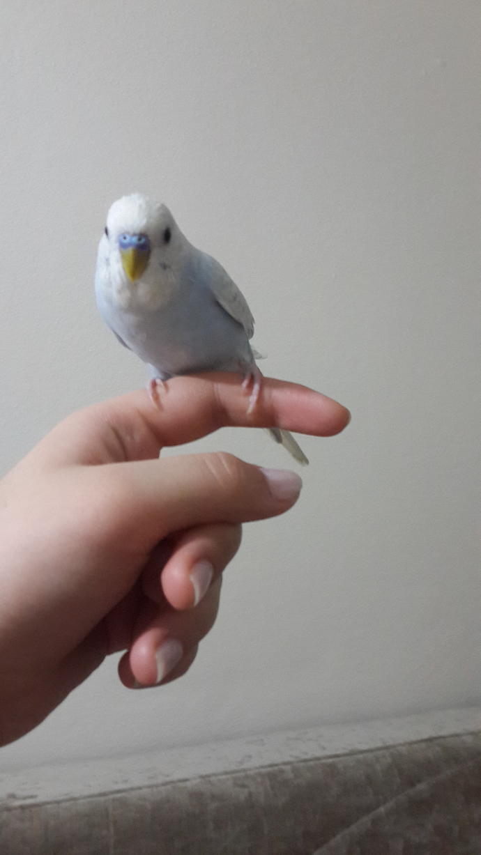 Öpüşürken aşkım ısırma diyorum dinlemiyor(foto detayda)?