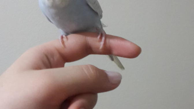 Öpüşürken aşkım ısırma diyorum dinlemiyor (foto detayda)?