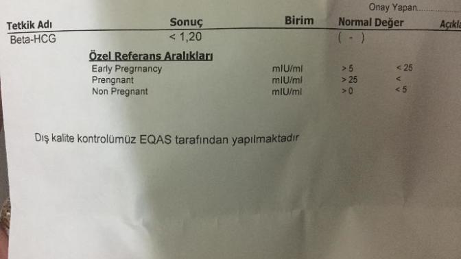 İdrar testi pozitif kan testi negatif?