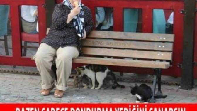 Hayvanlarin çiftleşmesi izler misiniz?
