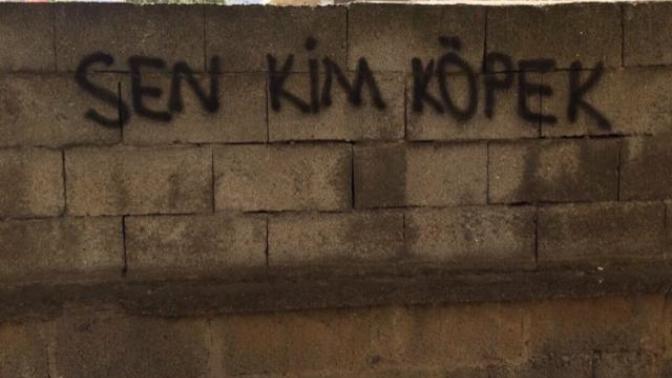 Fasulye de kendini nimetten sayar mı, siz sayıyor musunuz?