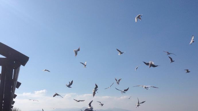 Erkekler neden kendınden en az 5 yaş büyük birisinden hoşlanır? Kadınlar neden kendisinden küçük erkeklerden hoşlanır?