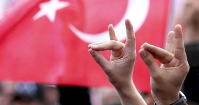 Ülkücü Ne Demek, Ülkücülerin Amacı Nedir?