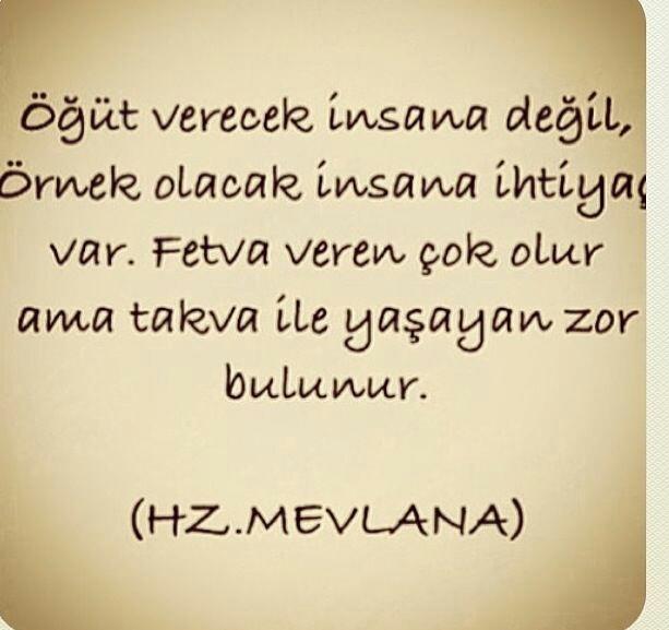 Size öğüt veren insanları dinler misiniz?