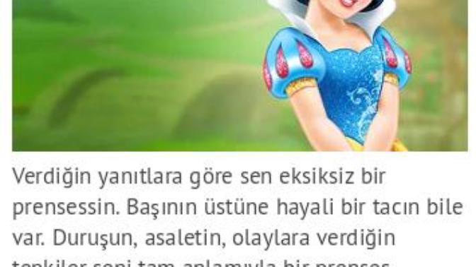 Ben yüzde yüz prenses çıktım peki ya siz yüzde kaç prensessiniz :) ?
