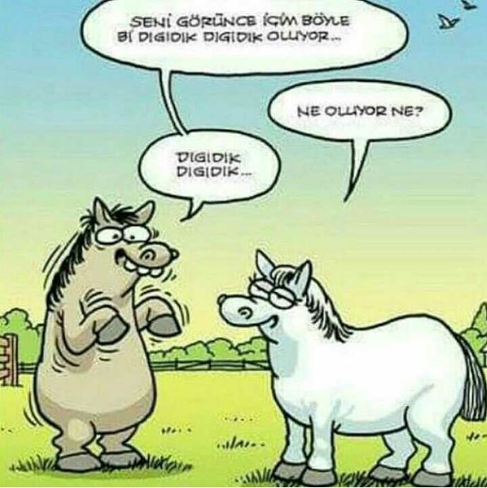 Sevdiğiniz kişiyi görünce ne hissedersiniz ??