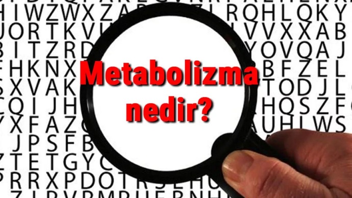 metabolizma hızlandırma