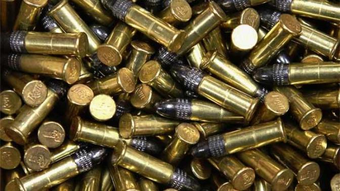 Arkadaşlar 22 lr tabanca mermisini nerden bulabilirim?