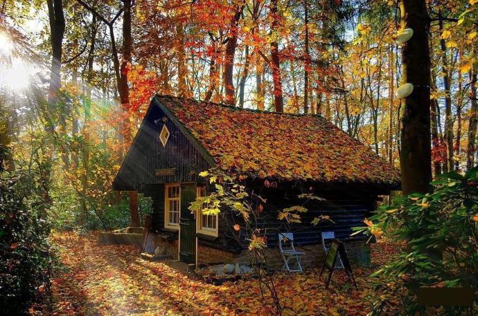 Hayallerinizde neler var peki dağ evi sever misiniz?