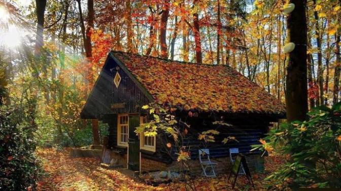 Hayallerinizde neler var peki dağ evi sever misiniz?