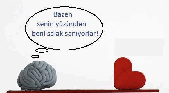 "Senin yerinde olsam beni hayatta kaçırmazdım salak mısın nesin anlamadım ki" dediğiniz zamanlar oldu mu?