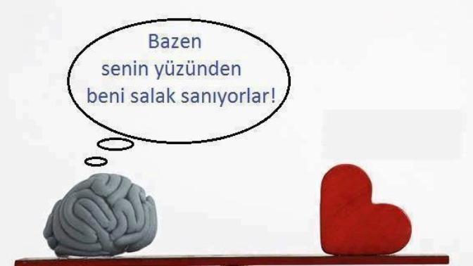 "Senin yerinde olsam beni hayatta kaçırmazdım salak mısın nesin anlamadım ki" dediğiniz zamanlar oldu mu?