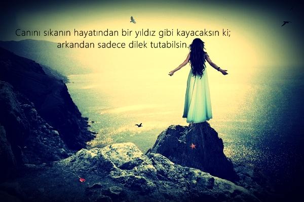Canini #SIKANA nasil tepki verirsin? 