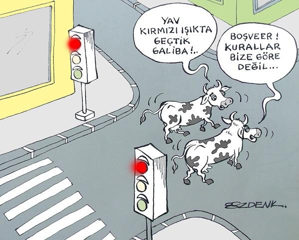 İnsanoğlunu insan yapan erdemler nelerdir ?