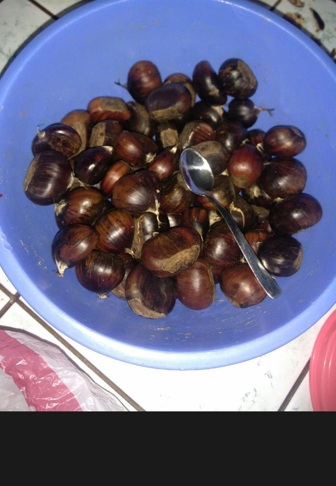Kestane sever misiniz 😊 ?
