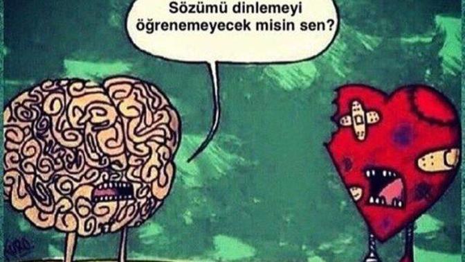 Mantık mi kalp mi?