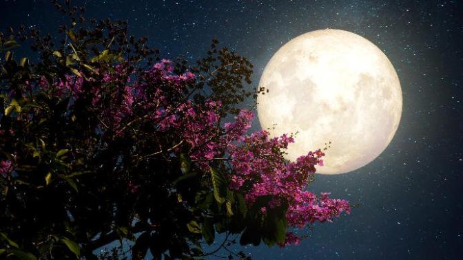 Süper Ay bu gece gökyüzünde! Bu eşsiz anda yakalayabildiğin fotoğrafları mesajınla birlikte bizimle paylaşır mısın?
