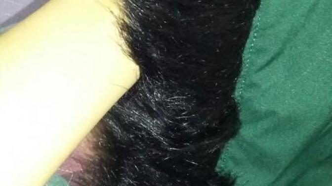 Bunu nasıl boyayabilirim? Fotoğraflı?