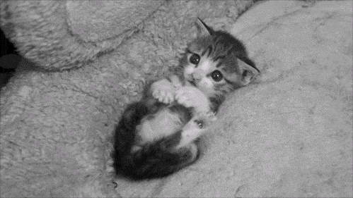 Yavru minik şeyler neden tatlı oluyor? Mesela ben. Bende miniğim ama tatlışım :D Neden? 